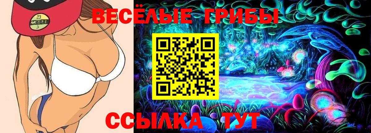 Первоуральск  Псилоцибиновые грибы Psilocybe  Вход с VPN 